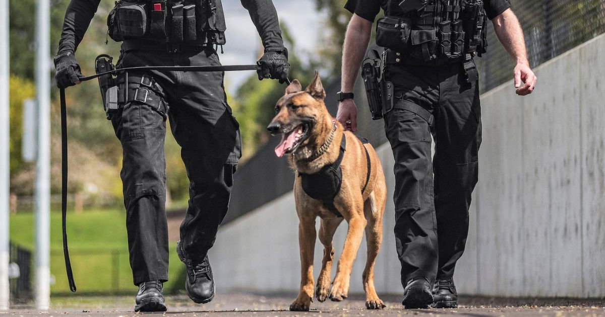 two sherrifs and a k9 lead a german shephard