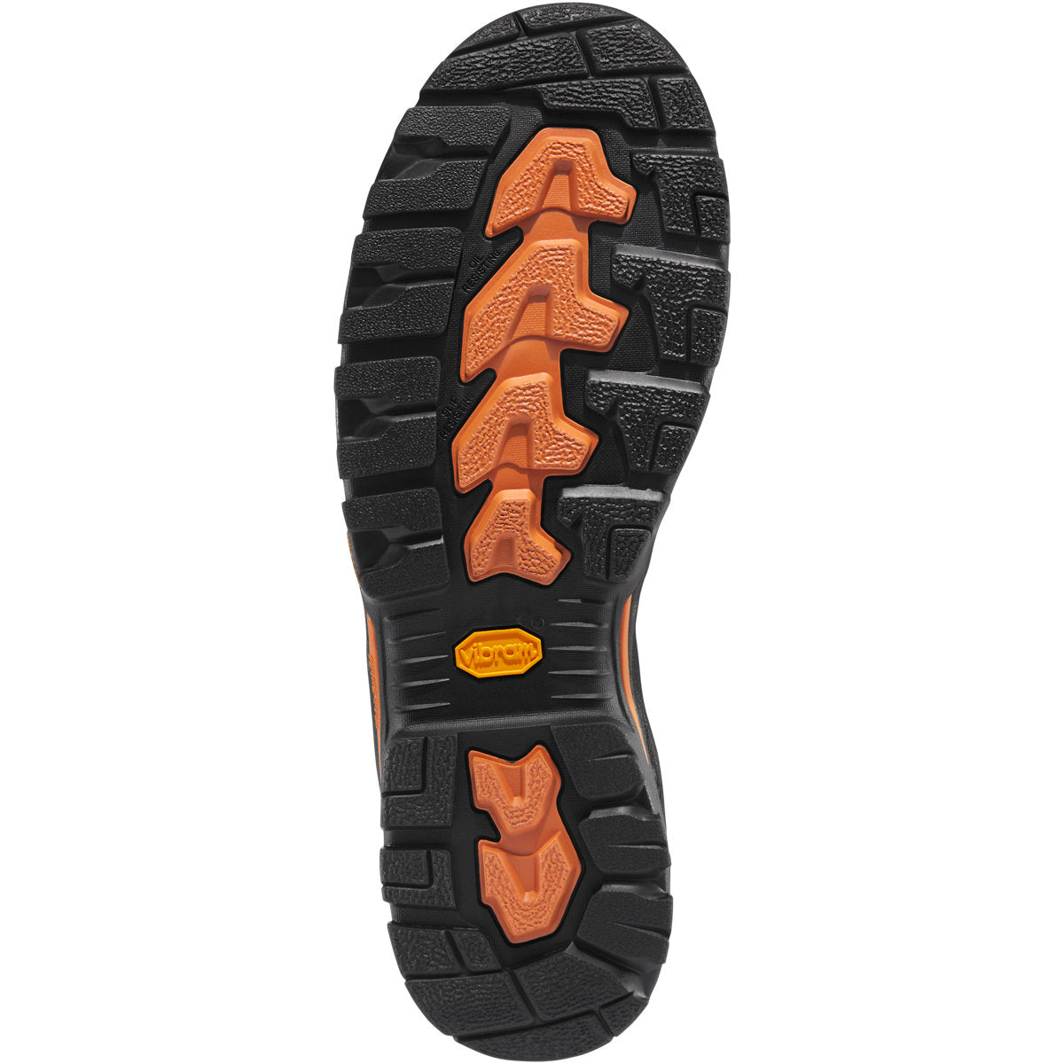 Danner Vicious 6
